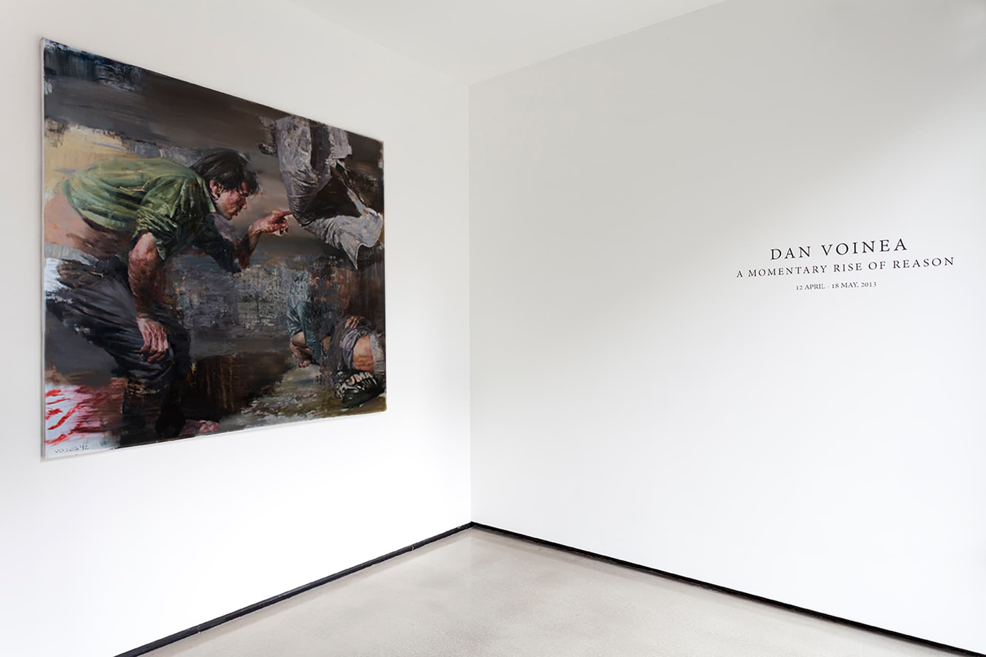 A Momentary Rise of Reason installation view 1