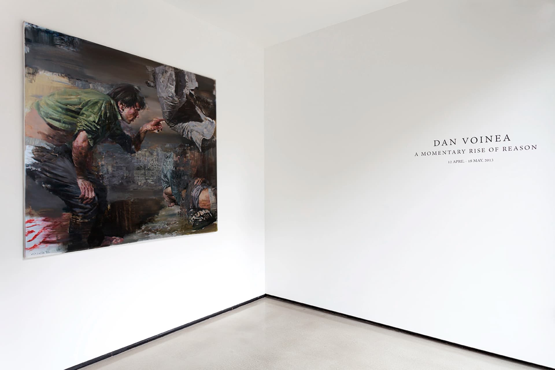 A Momentary Rise of Reason installation view 1