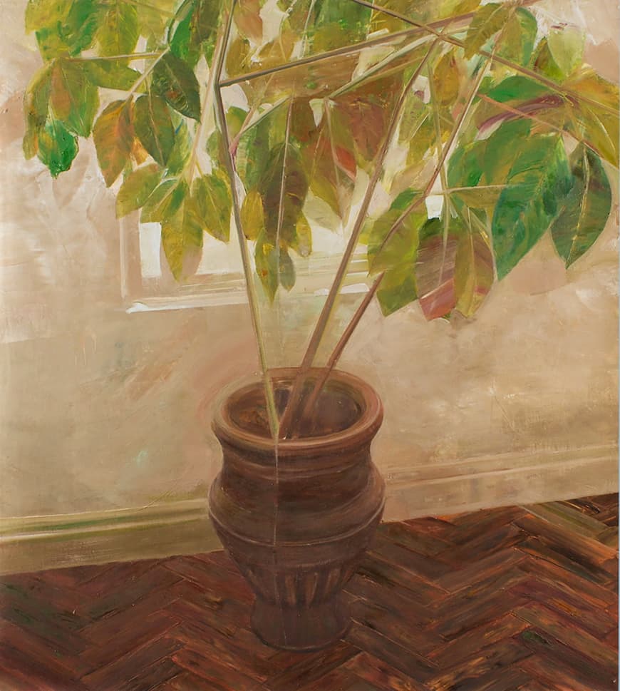 FUNNY POT, 2024